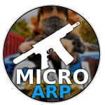 MICRO ARP