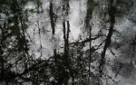 § … Void of Hollow … §
