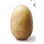 Potatos are a army