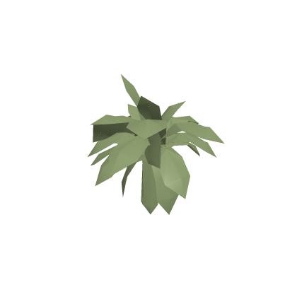 Beach Tree