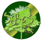 S.O.R.E.S