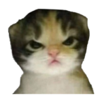 オ-タ-ク