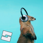 Otter Makes Games ゙゙゙