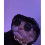 Mikiethekid