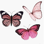 17kyanna