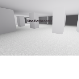 The Bathrooms
