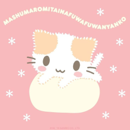 kitty kat