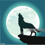 DogeKing293s group