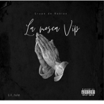 La mosca V.I.P