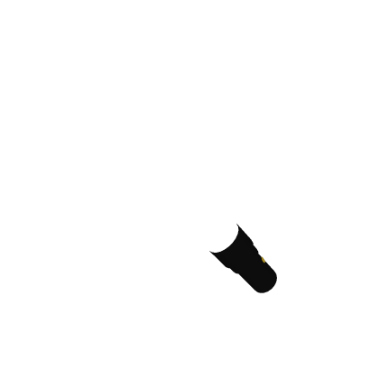 SlyFox Studios- Flashlight