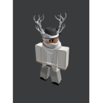 THE BLOXBURG SAS.