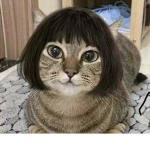 WeLoveAnimals<3