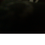 SHAYYY_Ktg