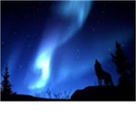 wolf peace pack