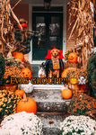 ~ coras group ~