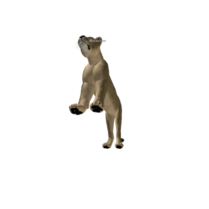 African Lioness from wild savanna