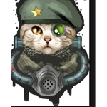 Tasks Cats Forces