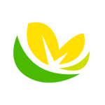 Buttercup Studios