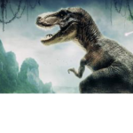 T-REX TEAM
