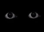 Two Scary Eyes Group Thumbnail