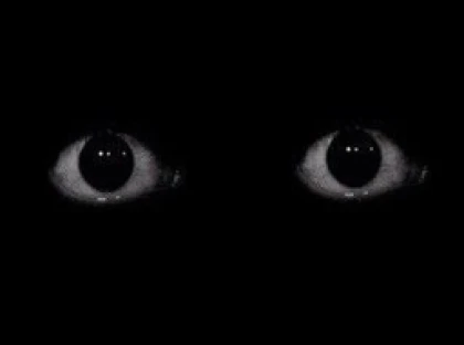 Two Scary Eyes Roblox group icon