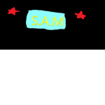 S.A.M special forces