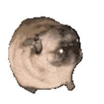 i cannot use this game 