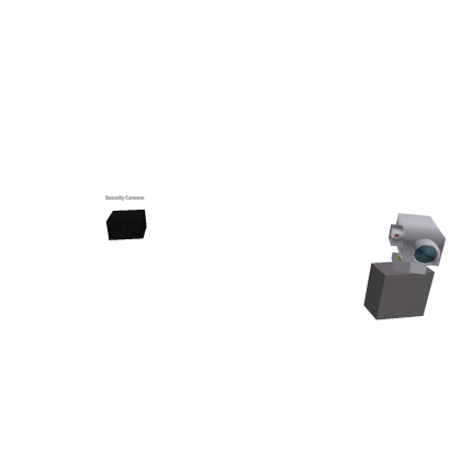 Working Security Camera