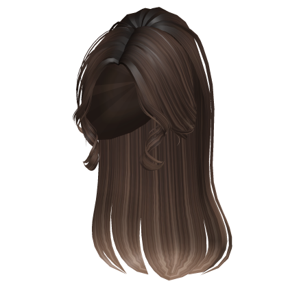 Elegant sleek Ponytail in Brown Blonde Hightlights Roblox item