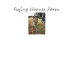 *Flying Hooves Farm*