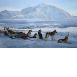 Holy Water's Sled Dogs