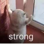 dontcrynow