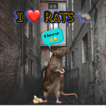 ~RAT SQUAD FOR RATS ONLY~