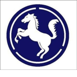 The 9th Infantry Division / 제9보병사단