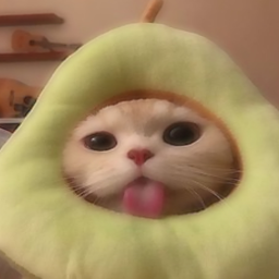 ⁎˃ᆺ˂⁎
