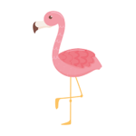 ~The Flamingoss~