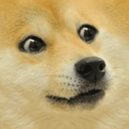 [Destroyed] evil doge hang out