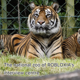 Interview centre