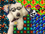 Alan12347
