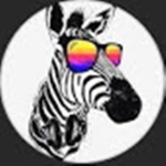 Zebra studio!