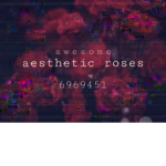 awesome aesthetic roses