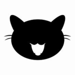 Cat Team corporation