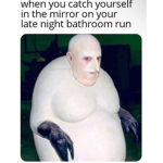 Vollant