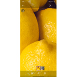 the mega lemons