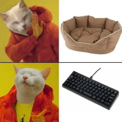 cat meme Roblox decal