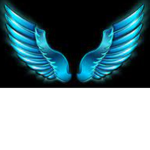 WingsTeam