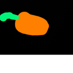The Carrot Fan Club