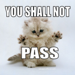 Cats Are Savage