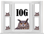 Intrusive Owl Games