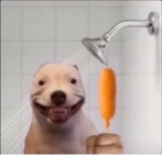 Dog in a bath with a corn dog